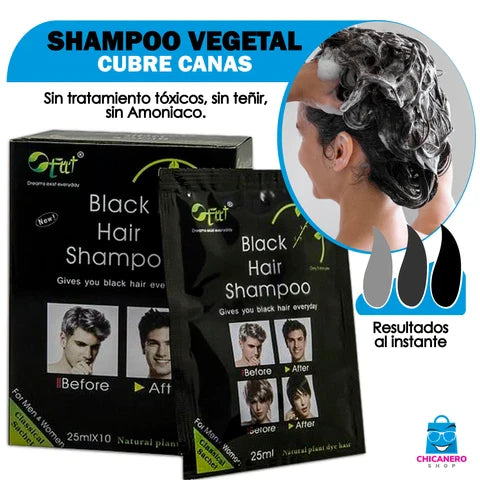 Shampoo Cubre Canas Dexe Black Hair