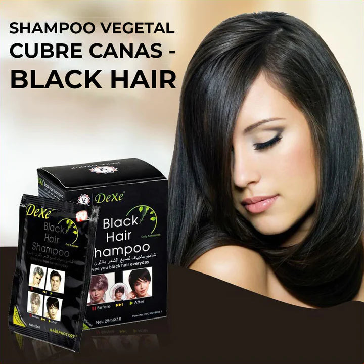Shampoo Cubre Canas Dexe Black Hair
